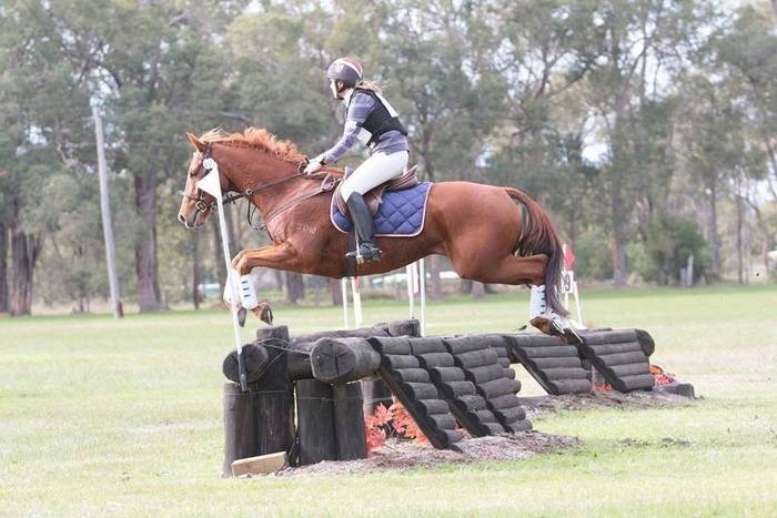 Resolve Equine NZ