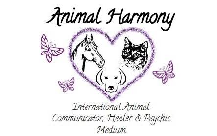 Animal Harmony - International Animal Communication & Healing