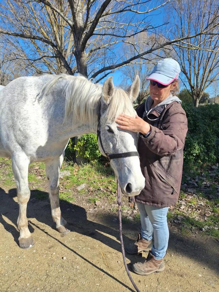 Leanne’s Equine Therapy
