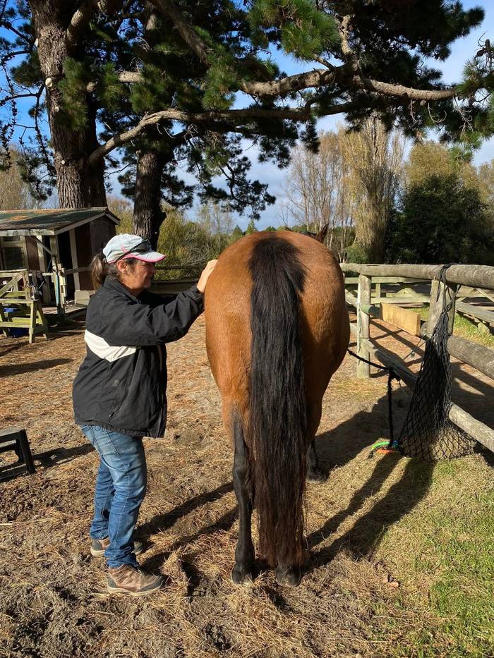Leanne’s Equine Therapy