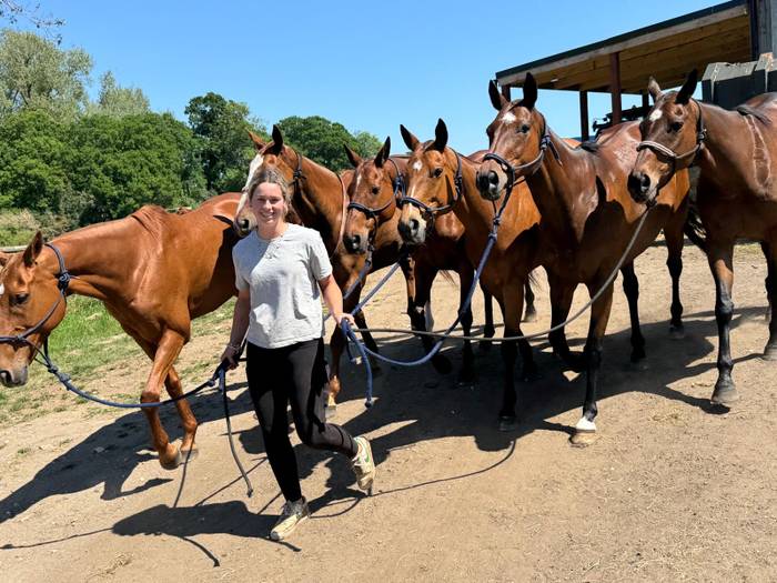 Elite Equine Therapy