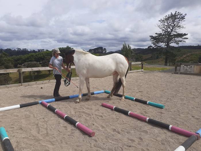 Being with Horses