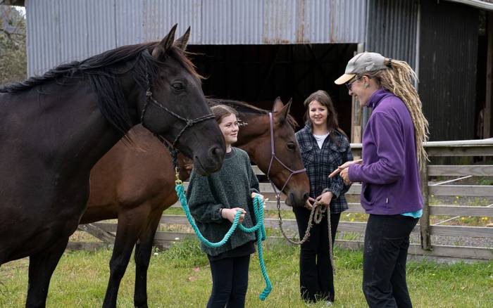 Being with Horses