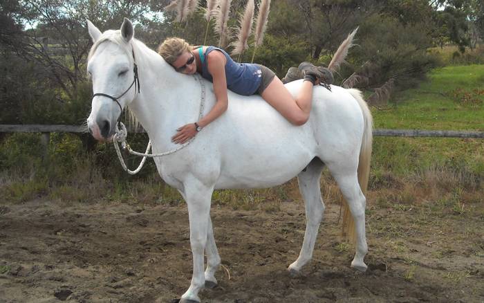 Being with Horses